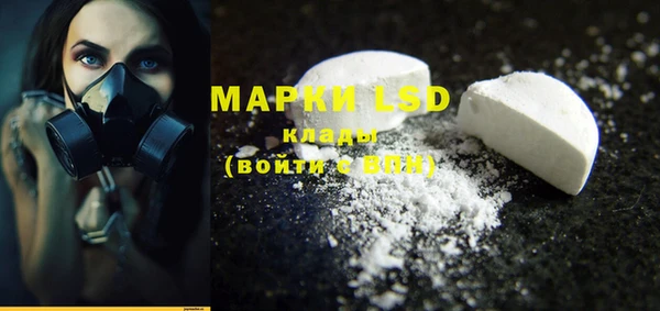 гидра Новодвинск