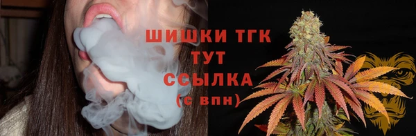 гидра Новодвинск