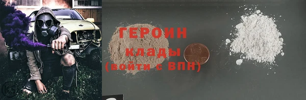 гидра Новодвинск