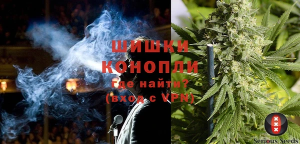 мдпв Новозыбков