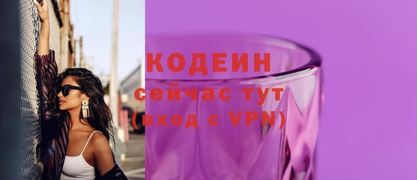 гидра Новодвинск