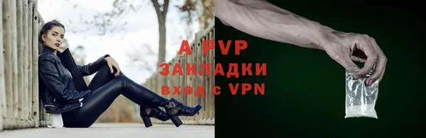 мдпв Новозыбков