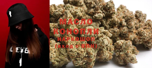 гидра Новодвинск