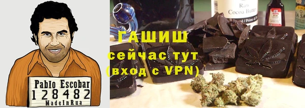 мдпв Новозыбков