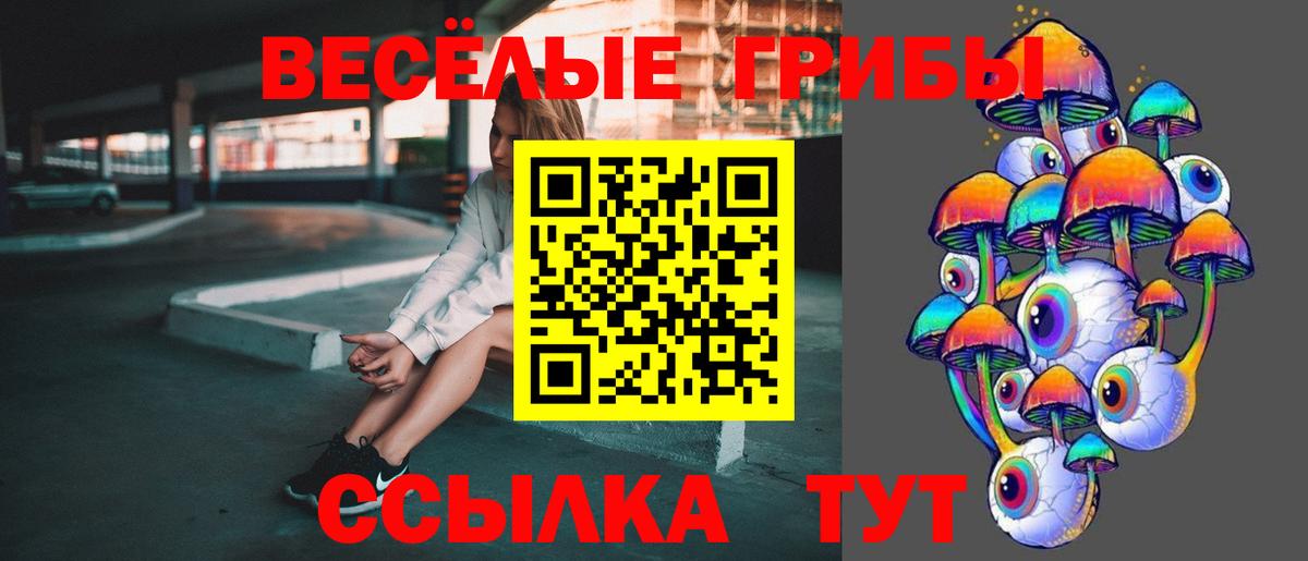 Псилоцибиновые грибы мухоморы  Псилоцибиновые грибы Psilocybe  Тосно  Вход с VPN 