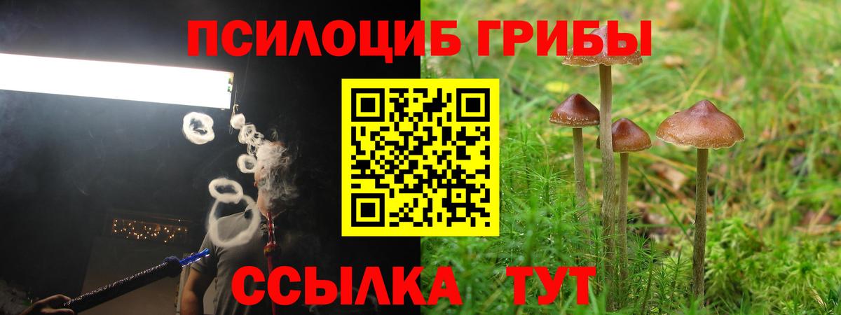 Псилоцибиновые грибы MAGIC MUSHROOMS Тосно